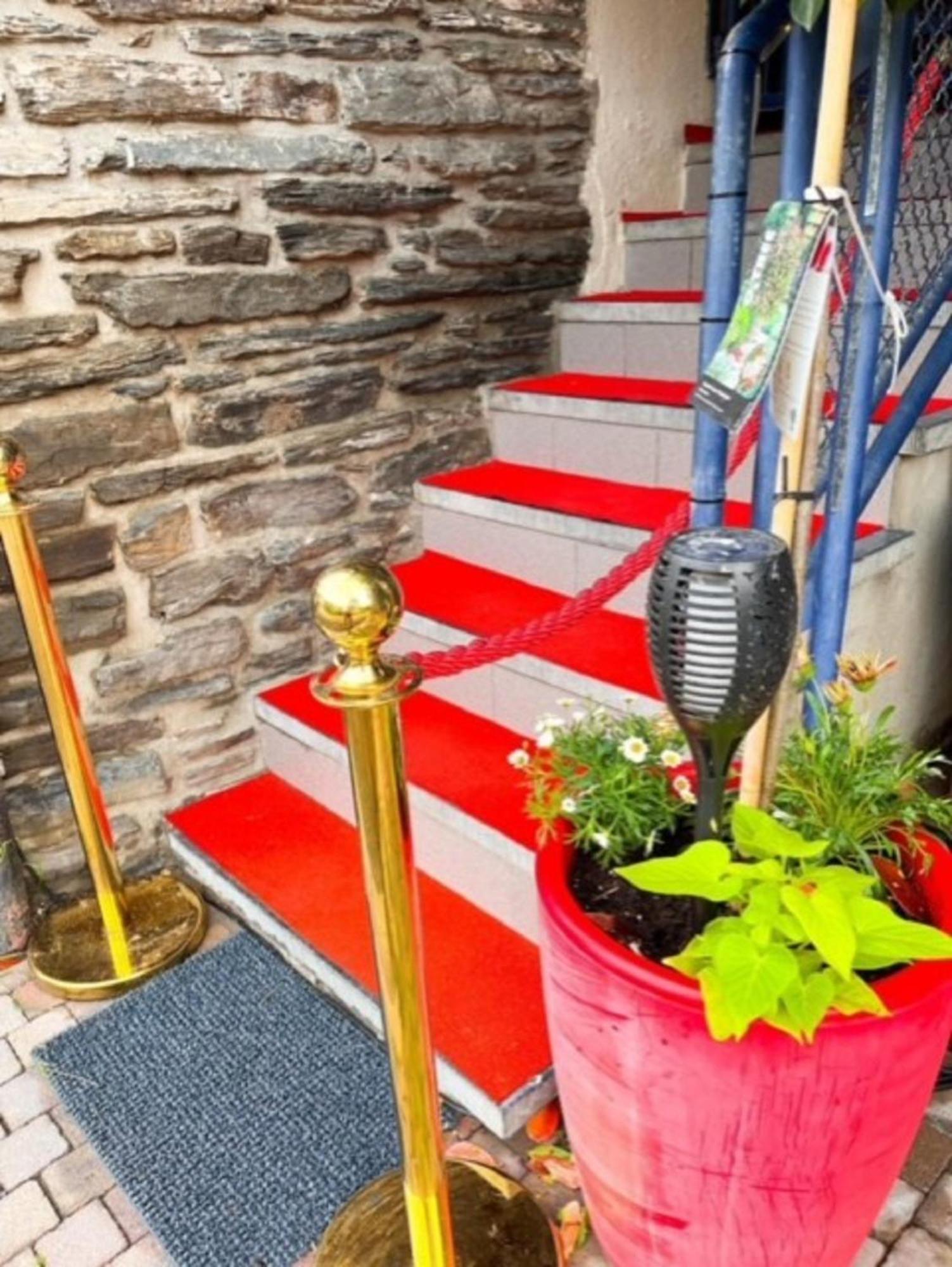 B&B Foret D'Animaux Bouillon Luaran gambar